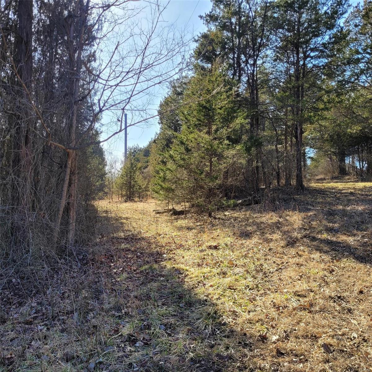 10 Shenandoah Lane Property Photo 17
