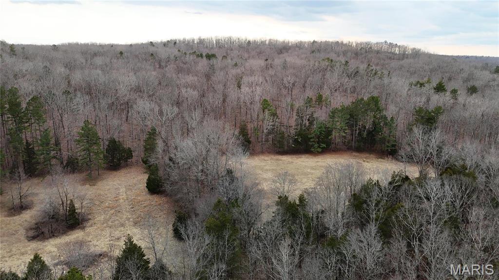 0 W County Road 224a Property Photo 3