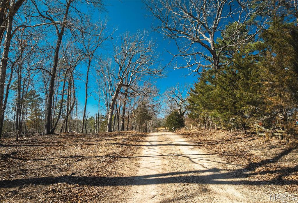 65 Acres M/l Dalton Road Property Photo 1