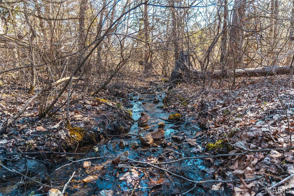 65 Acres M/l Dalton Road Property Photo 2