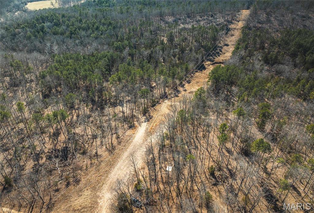 65 Acres M/l Dalton Road Property Photo 6
