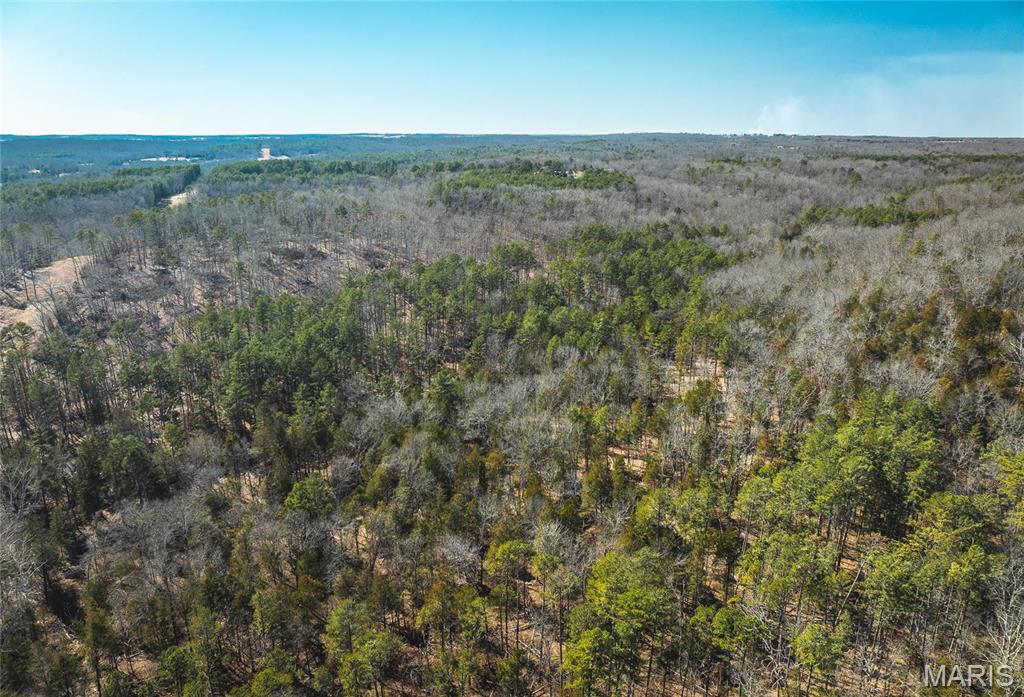 65 Acres M/l Dalton Road Property Photo 8