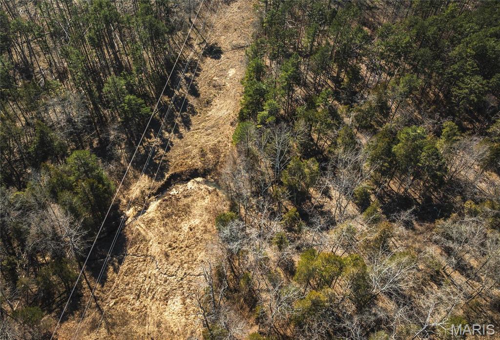 65 Acres M/l Dalton Road Property Photo 10