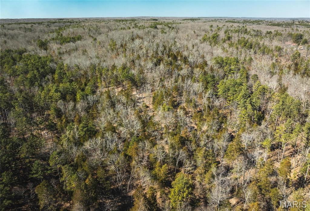 65 Acres M/l Dalton Road Property Photo 11