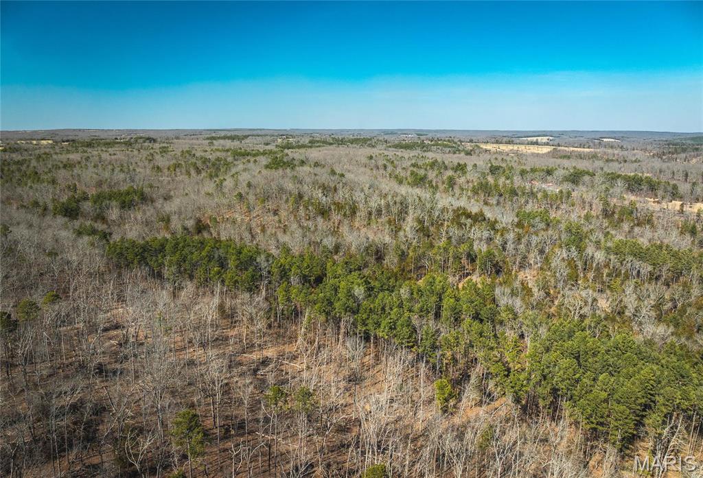 65 Acres M/l Dalton Road Property Photo 14