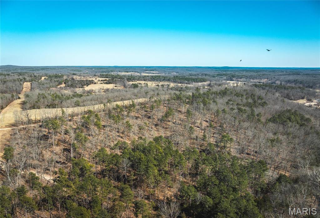 65 Acres M/l Dalton Road Property Photo 15