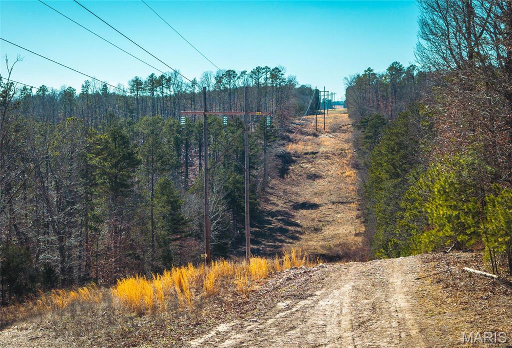 65 Acres M/l Dalton Road Property Photo 20