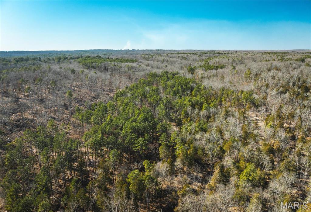 65 Acres M/l Dalton Road Property Photo 22