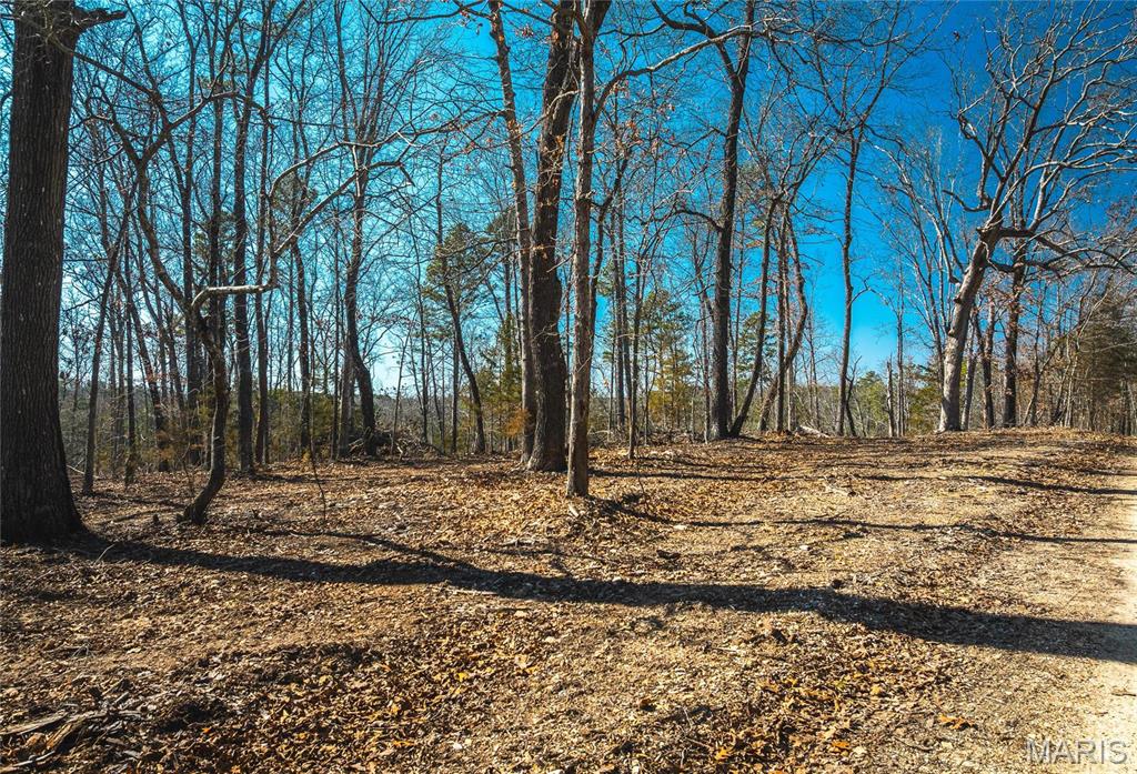 65 Acres M/l Dalton Road Property Photo 23