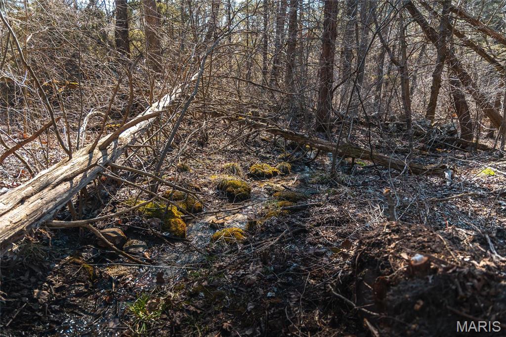 65 Acres M/l Dalton Road Property Photo 24