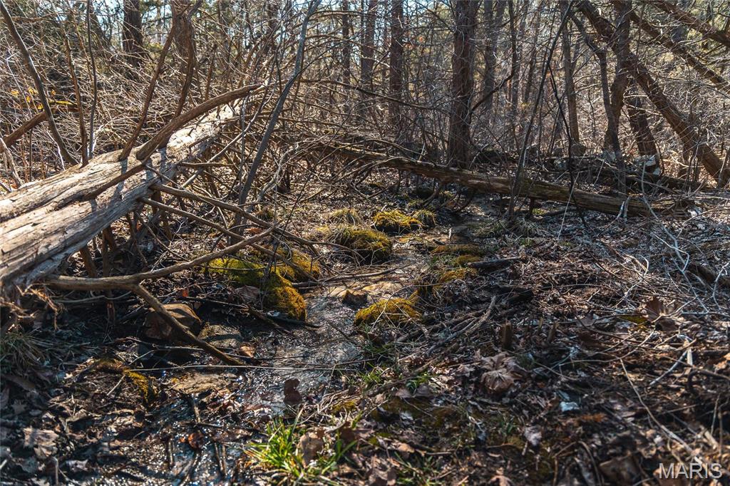 65 Acres M/l Dalton Road Property Photo 25