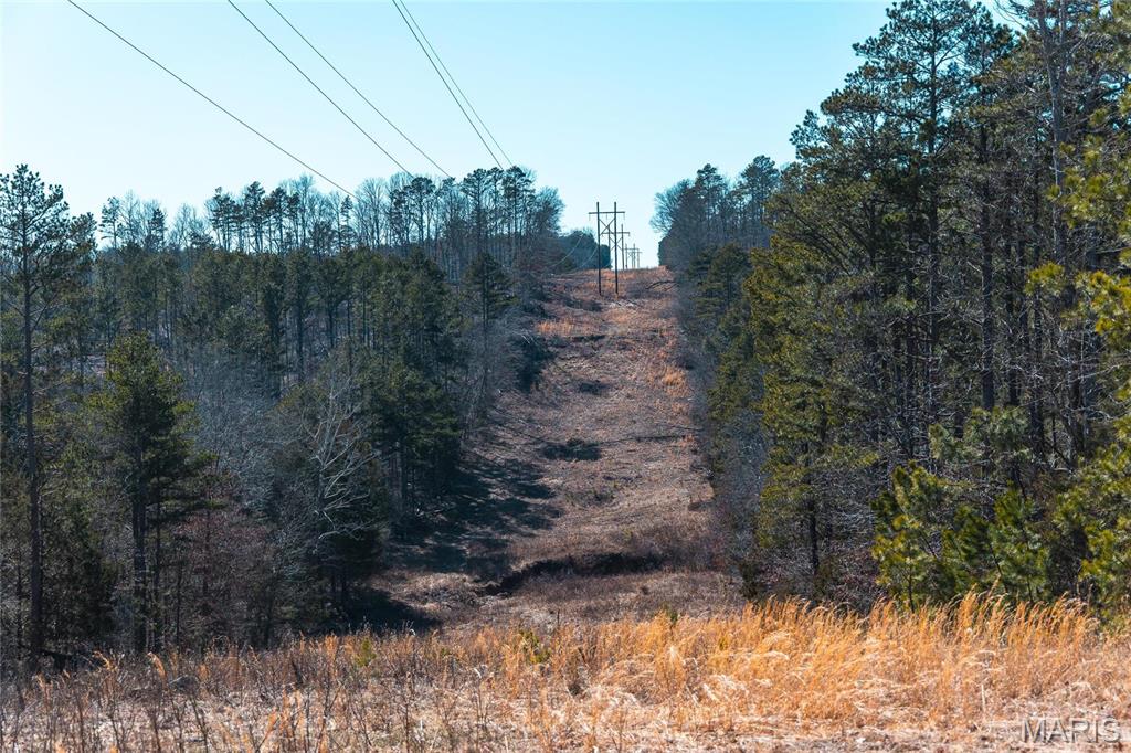 65 Acres M/l Dalton Road Property Photo 28