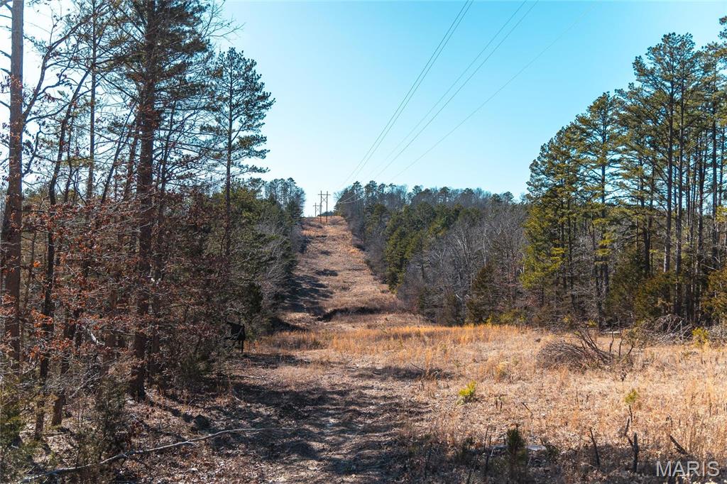 65 Acres M/l Dalton Road Property Photo 29