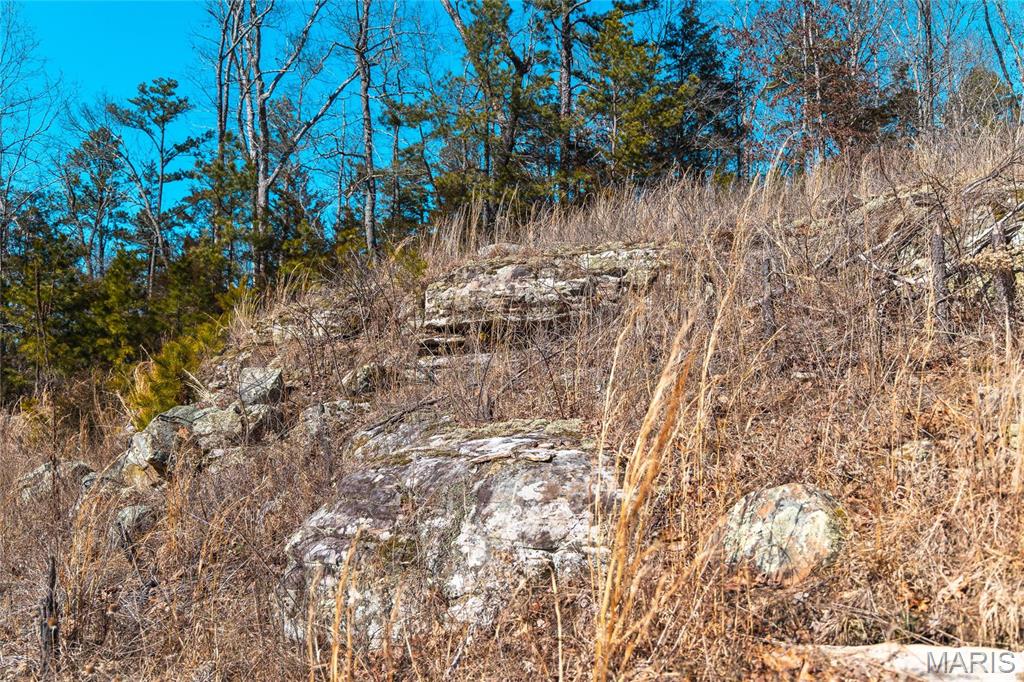 65 Acres M/l Dalton Road Property Photo 30