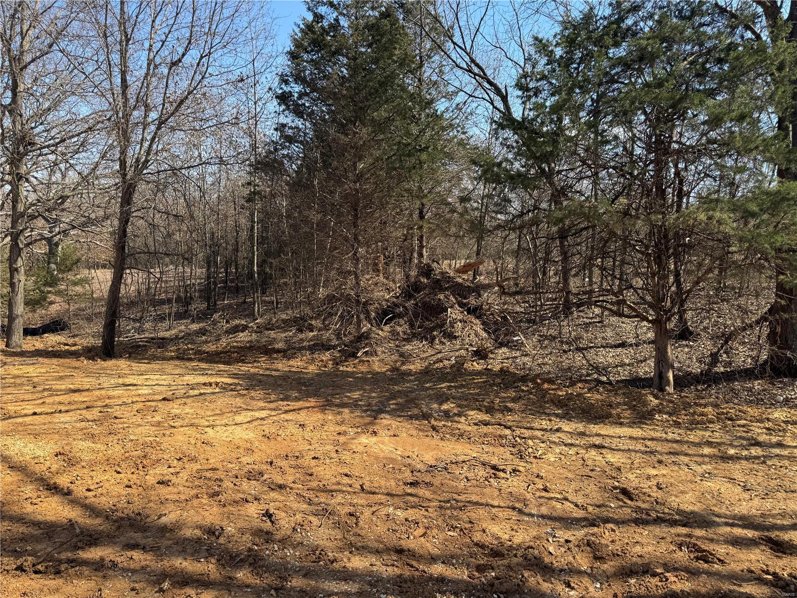 130 Shumard Oak Drive Property Photo 4
