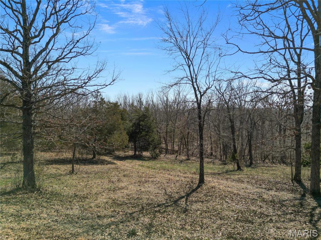 0 Highway N Property Photo 4