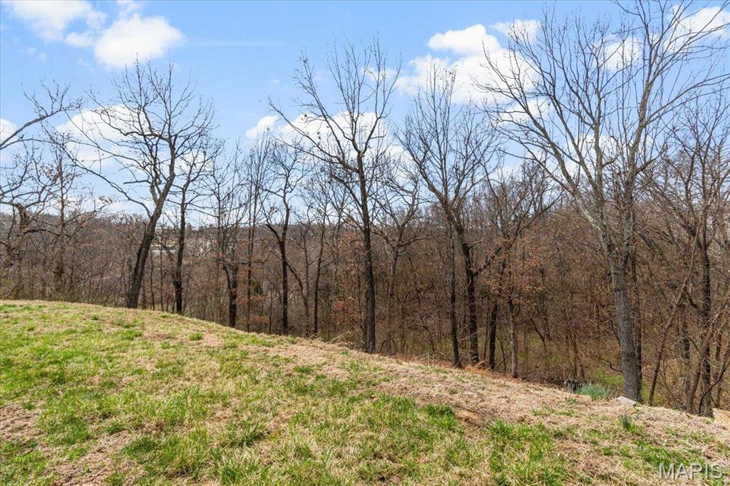 9 Amber Ridge Court Property Photo 39