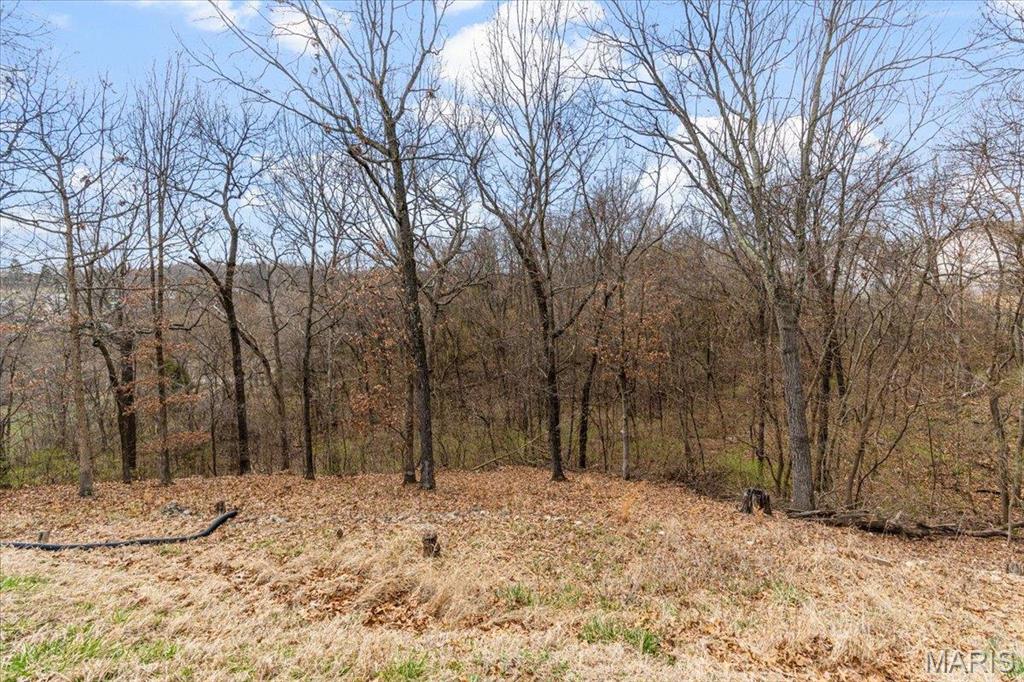 9 Amber Ridge Court Property Photo 40