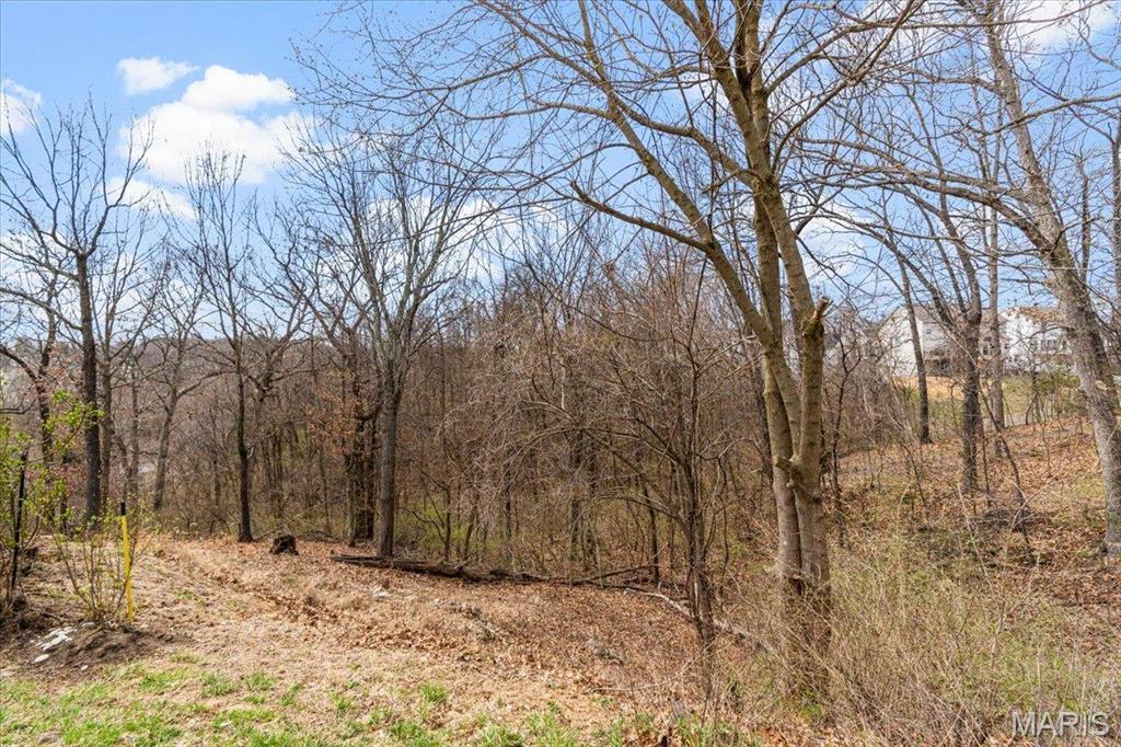 9 Amber Ridge Court Property Photo 45