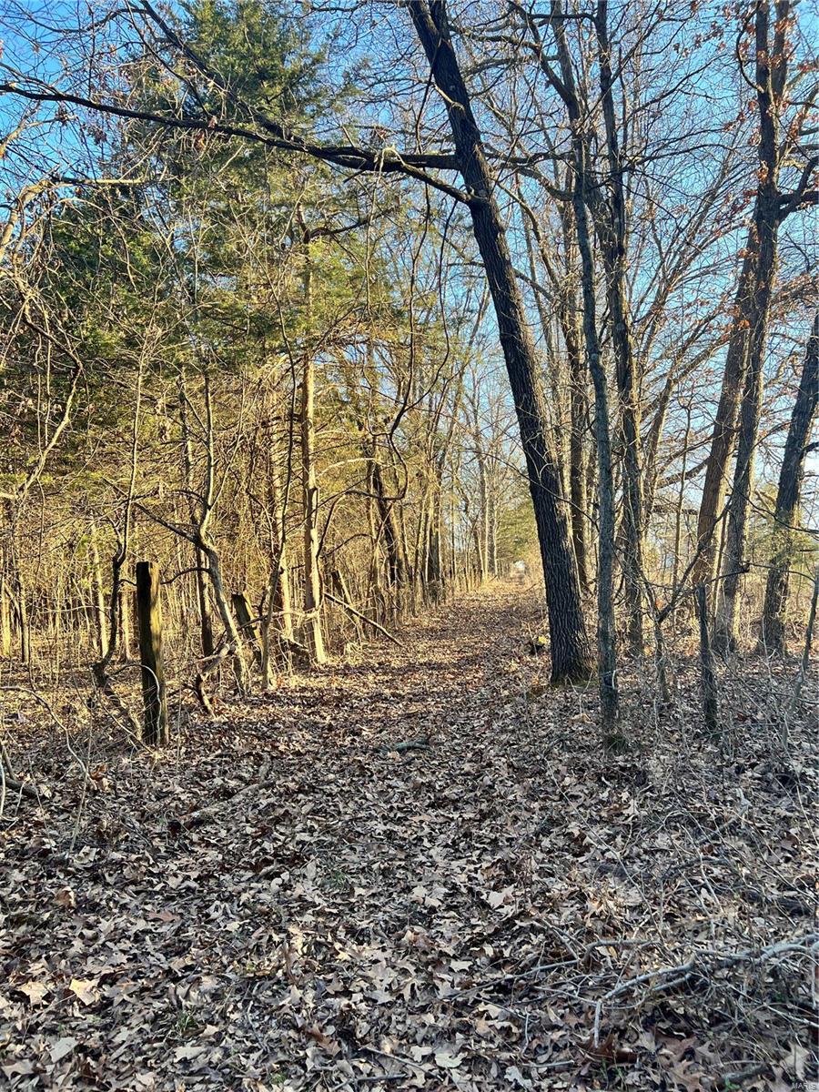 0 Hwy Dd Property Photo