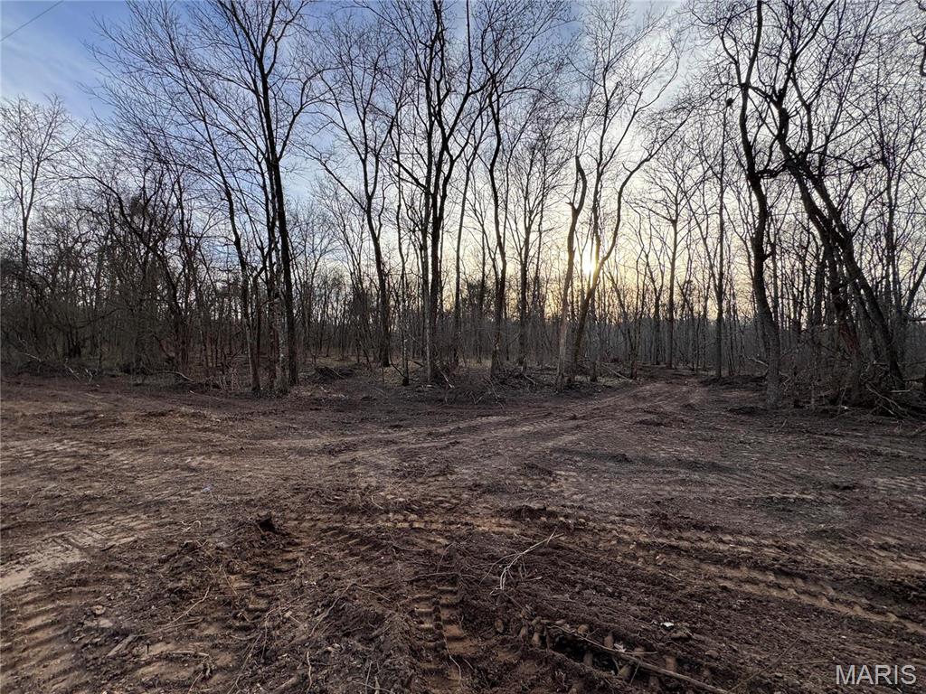 11050 County Road #364 Road Property Photo 17