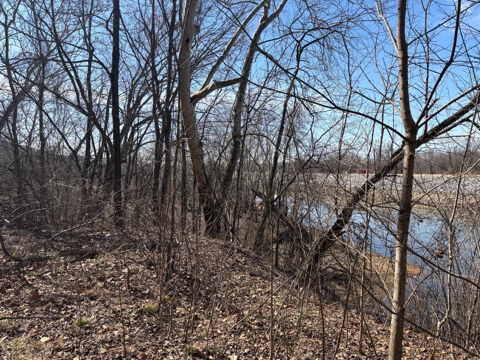 2 Bluffview Drive (2 Acre Tract) Property Photo 4
