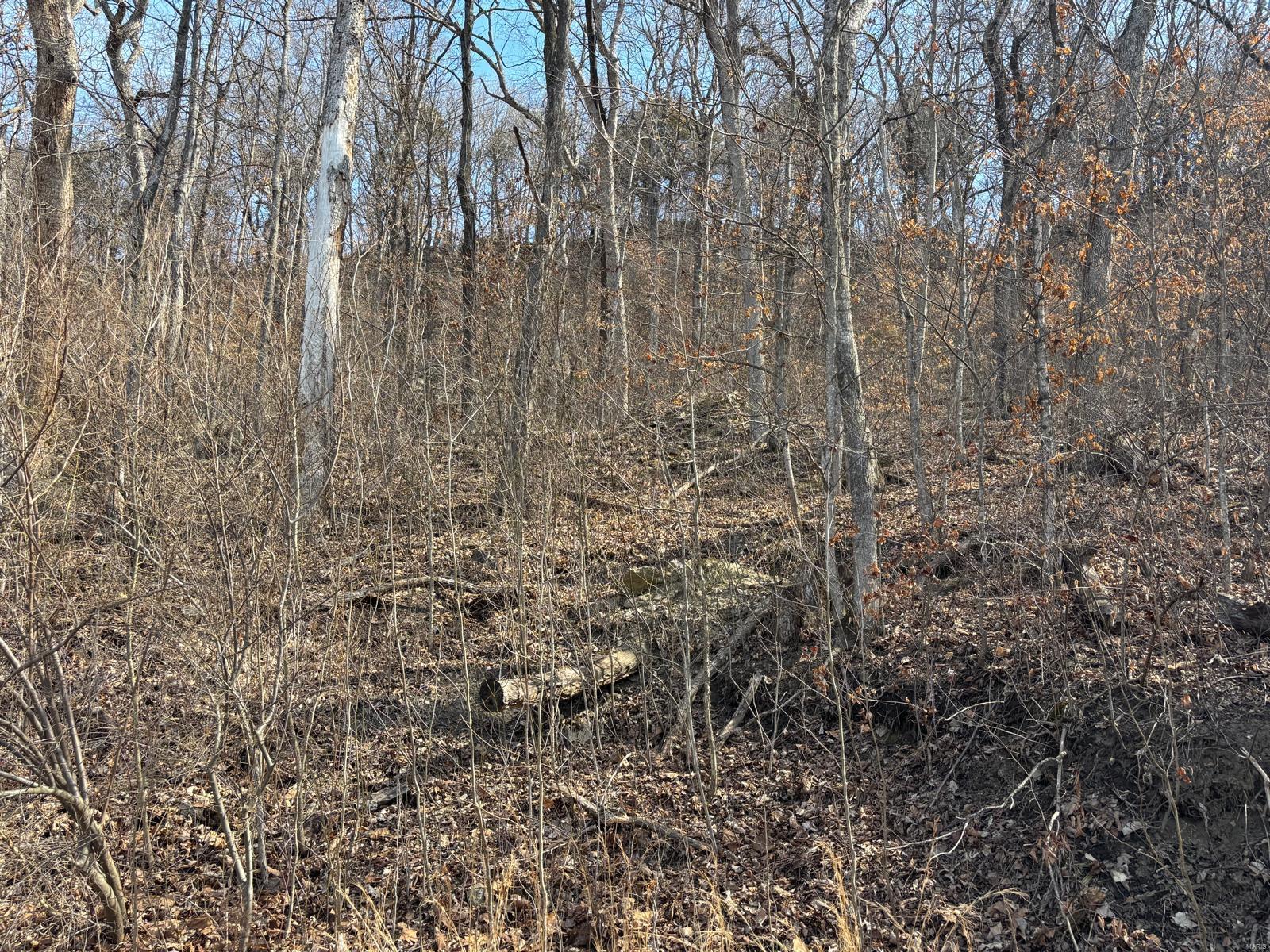 2 Bluffview Drive (2 Acre Tract) Property Photo 5
