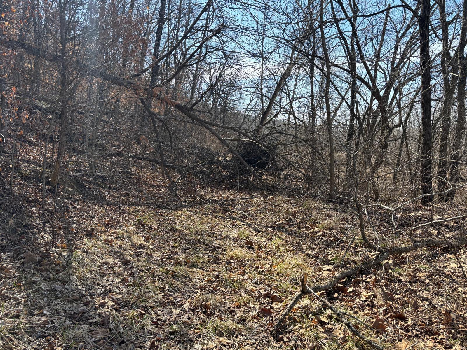2 Bluffview Drive (2 Acre Tract) Property Photo 6