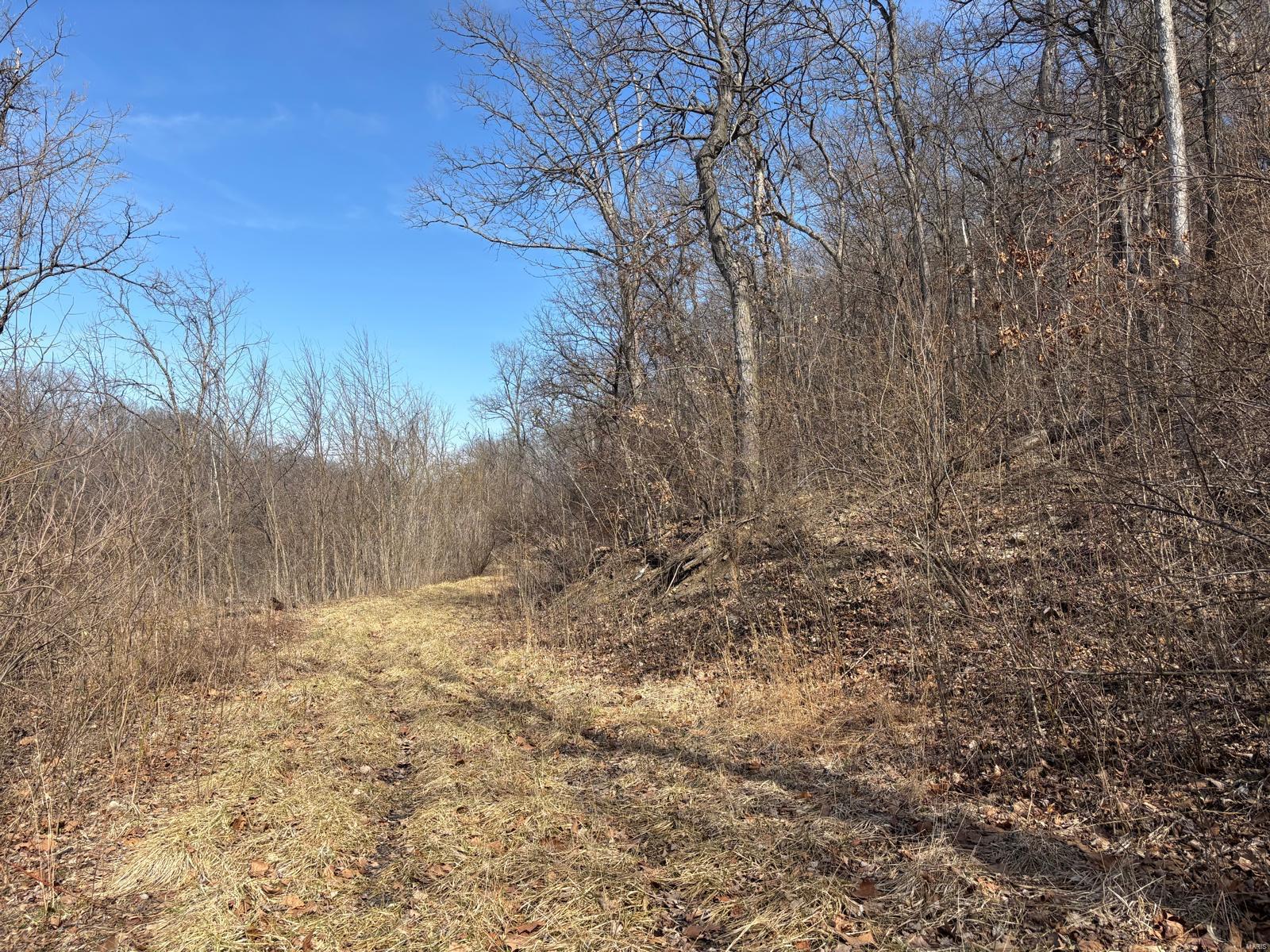 2 Bluffview Drive (2 Acre Tract) Property Photo 7