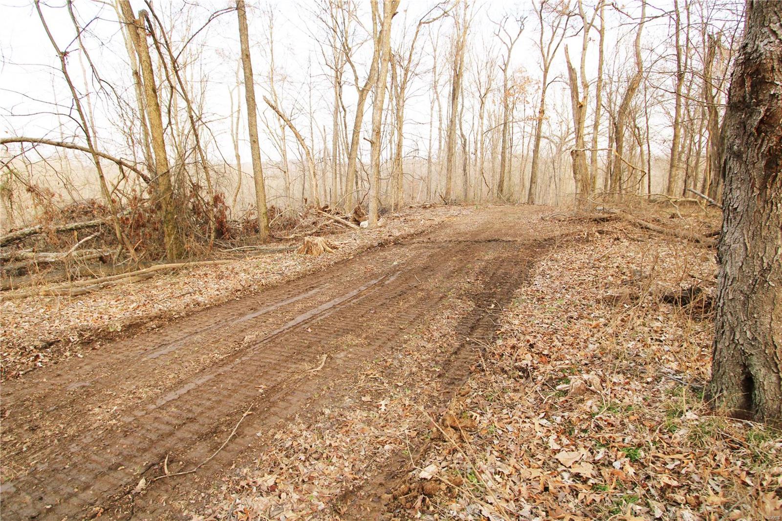 0 Bcr 532 Property Photo 38