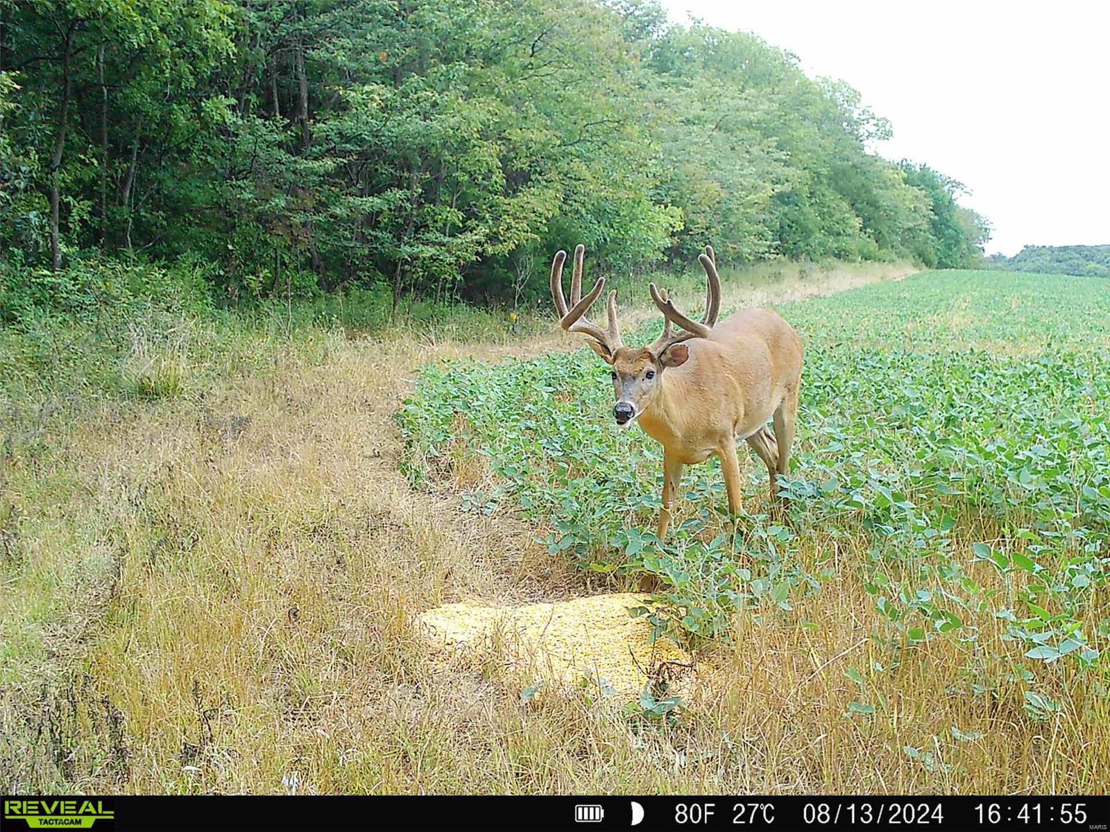 0 State Hwy Ad Property Photo 65