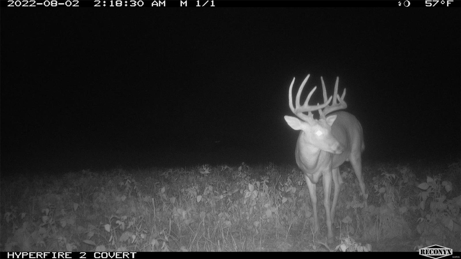 0 State Hwy Ad Property Photo 67