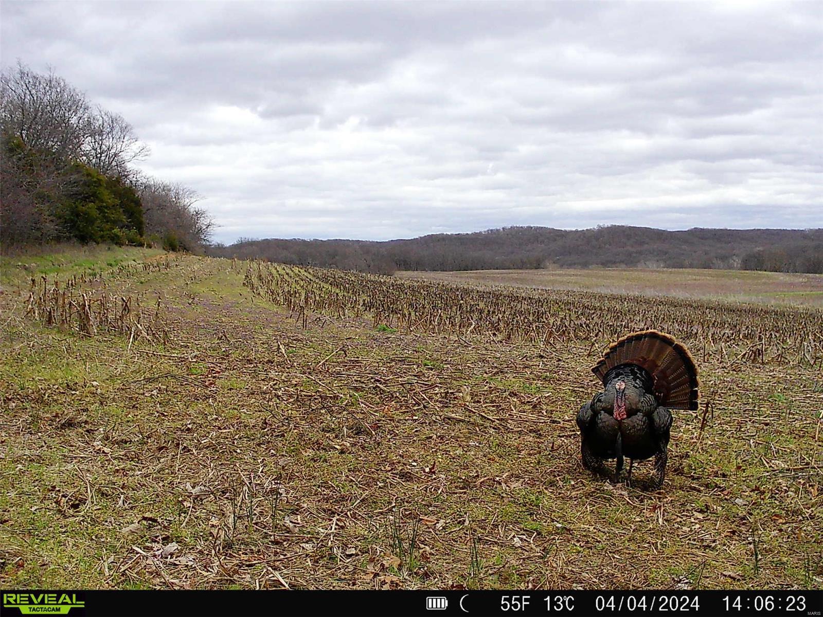 0 State Hwy Ad Property Photo 68