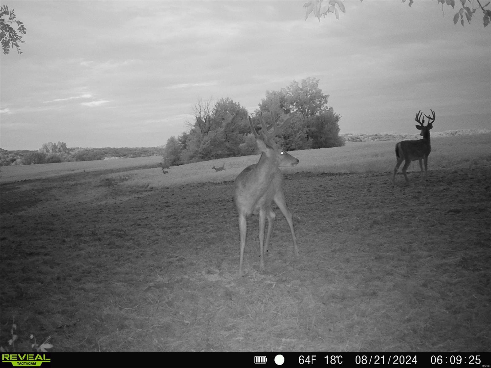 0 State Hwy Ad Property Photo 83
