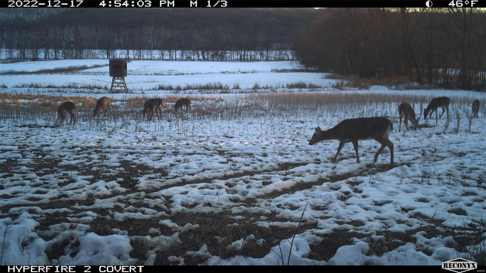 0 State Hwy Ad Property Photo 99
