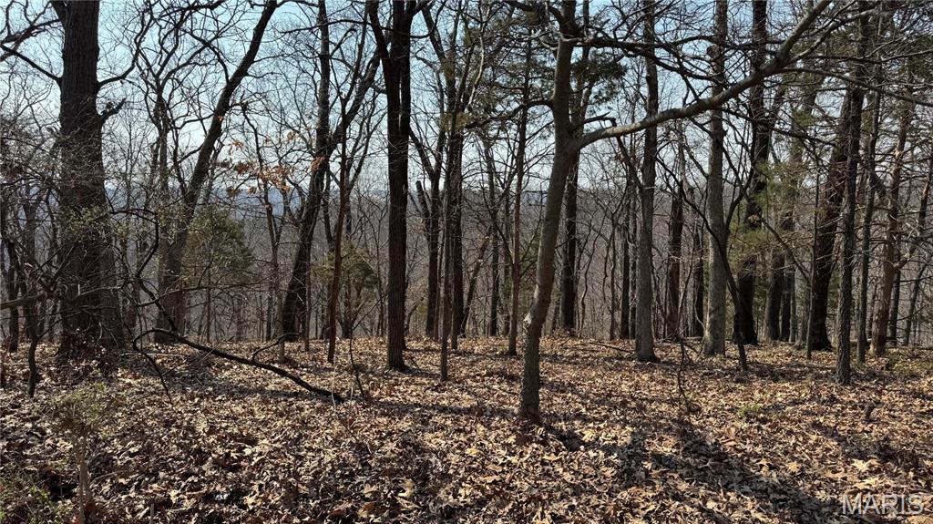 3357 Johns Cabin Road Property Photo 1