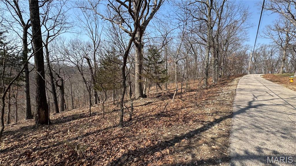 3357 Johns Cabin Road Property Photo 4