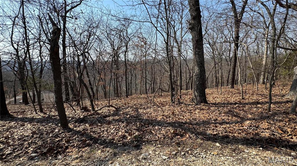3357 Johns Cabin Road Property Photo 5