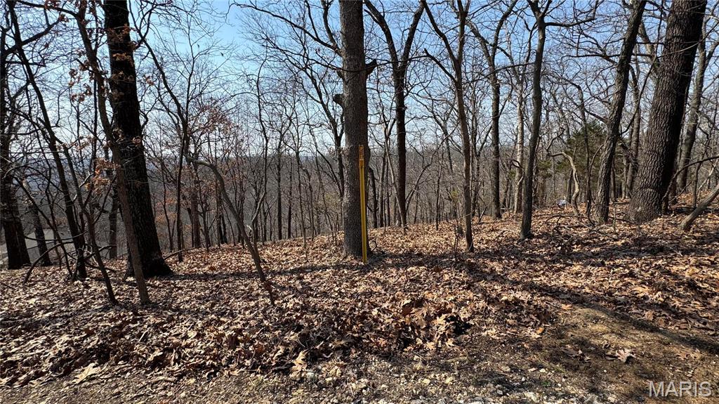 3357 Johns Cabin Road Property Photo 6