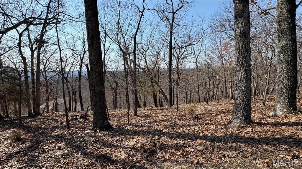 3357 Johns Cabin Road Property Photo 7