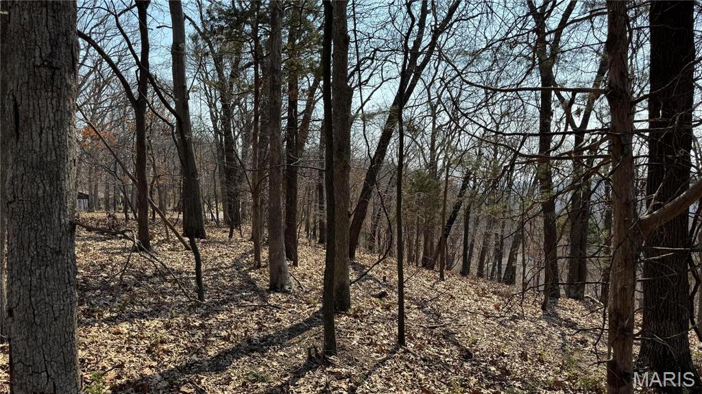 3357 Johns Cabin Road Property Photo 8