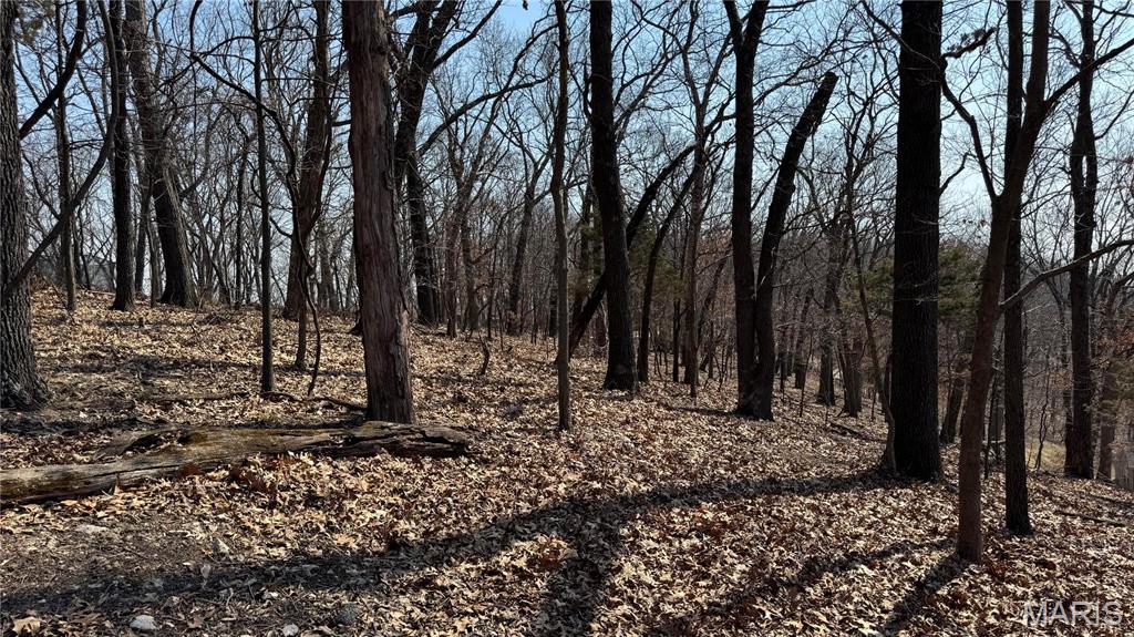 3357 Johns Cabin Road Property Photo 9