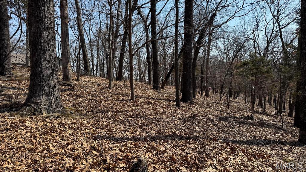 3357 Johns Cabin Road Property Photo 10