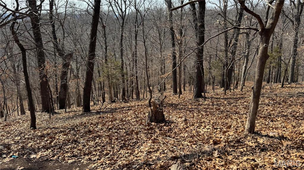 3357 Johns Cabin Road Property Photo 11