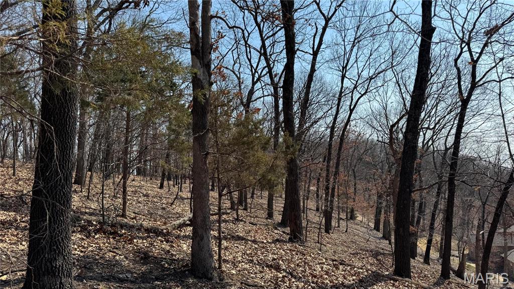 3357 Johns Cabin Road Property Photo 12
