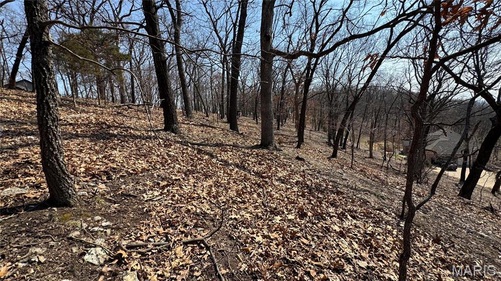3357 Johns Cabin Road Property Photo 13