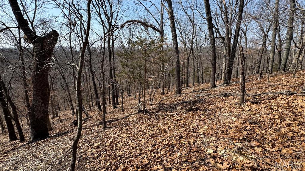 3357 Johns Cabin Road Property Photo 14