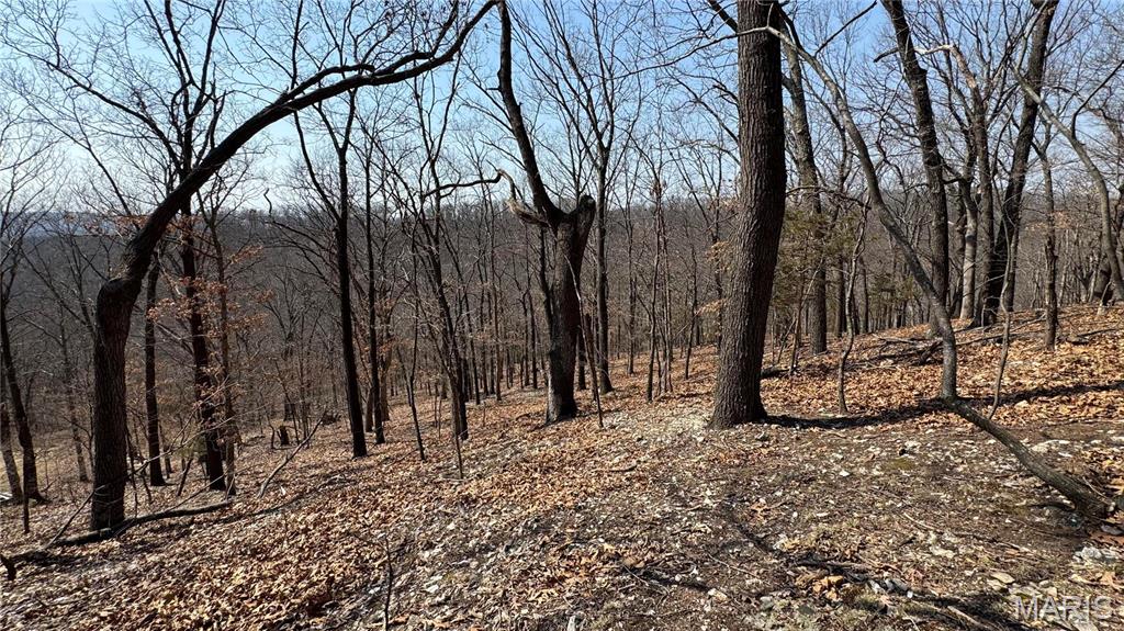 3357 Johns Cabin Road Property Photo 15