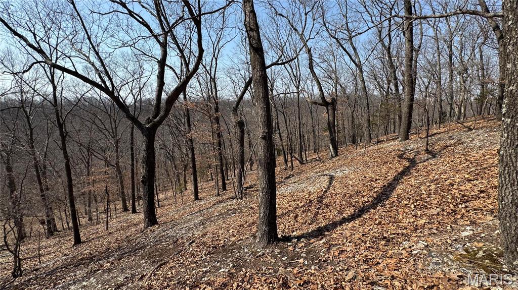3357 Johns Cabin Road Property Photo 16