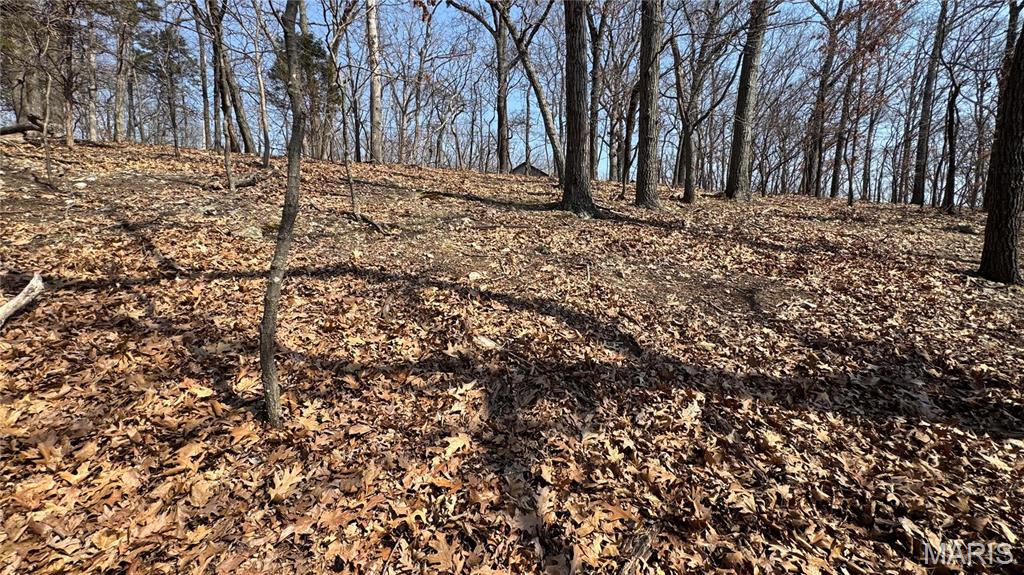 3357 Johns Cabin Road Property Photo 17